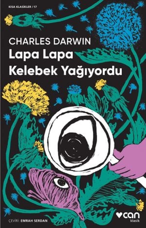 Lapa Lapa Kelebek Yağıyordu