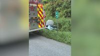 19-year-old taken into police custody, charged with second-degree murder after shooting death of man on I-85