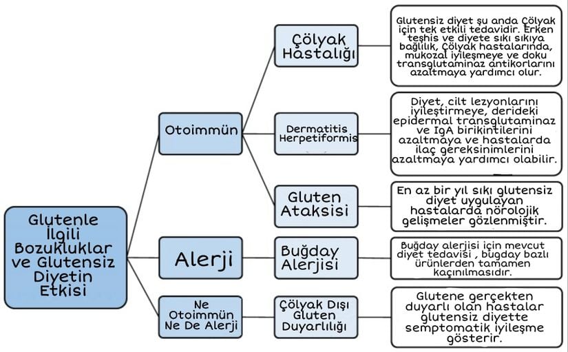 Glütensiz diyetin glütenle ilişkili bozuklukların sonuçları üzerindeki etkilerinin özeti.