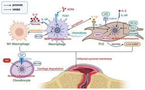 NLRP3 Overexpression Exacerbates Juvenile Arthritis Tissue Degeneration