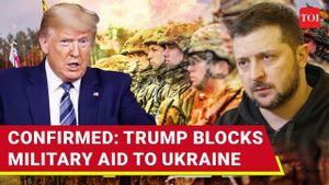 Trump Suspends U.S. Military Aid To Ukraine Amid Tensions