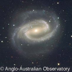 Çubuklu Sarmal Gökada NGC 1300