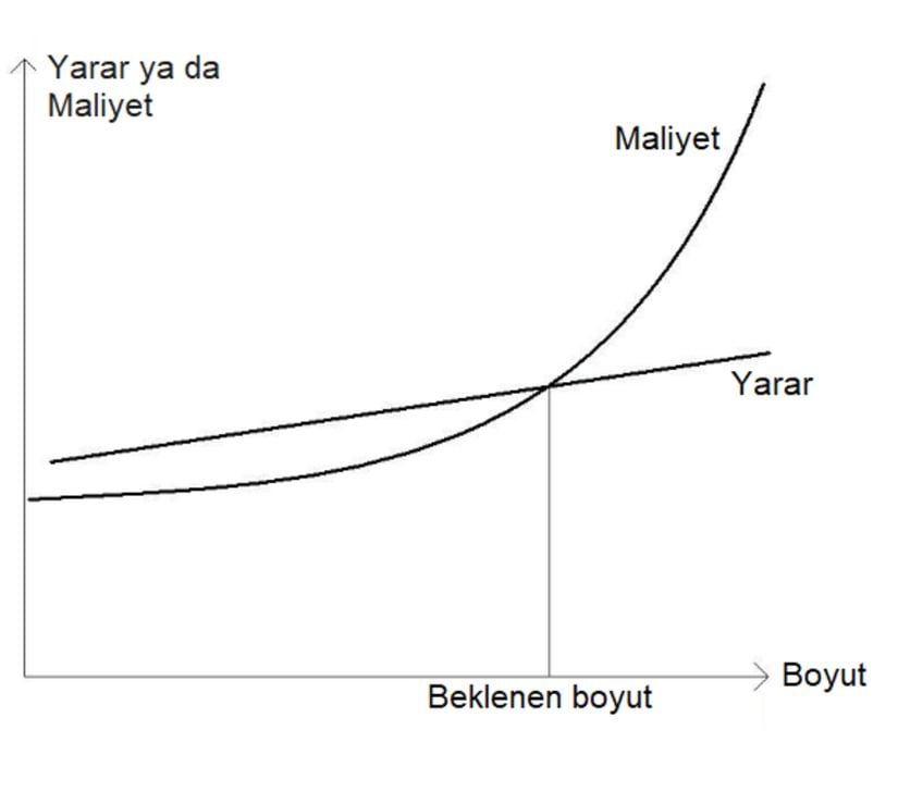 Maliyet ve yararın birbirlerini karşıladıkları nokta, beklenen boyuttur.