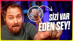 Tozlar, Her Şeyi Nasıl M&uuml;mk&uuml;n Kılıyor?