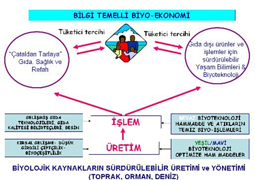 Gıda üretimi endüstriyel tarımsal biyoteknoloji