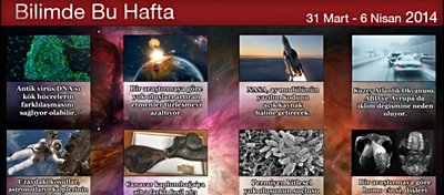 31 Mart - 6 Nisan 2014