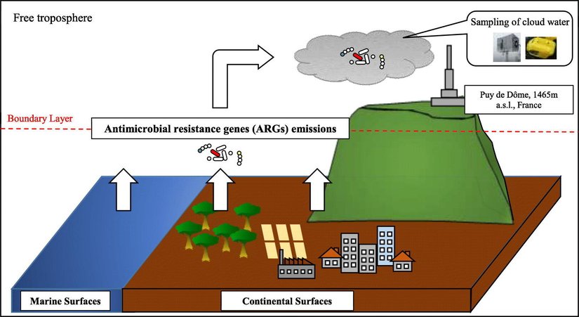 Antibiyotik dirençli bakterilerin döngüsünün şematik bir gösterimi.