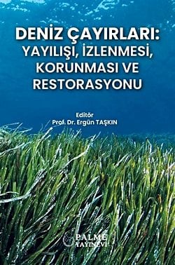 DENİZ ÇAYIRLARI : YAYILIŞI, İZLENMESİ, KORUNMASI VE RESTORASYONU