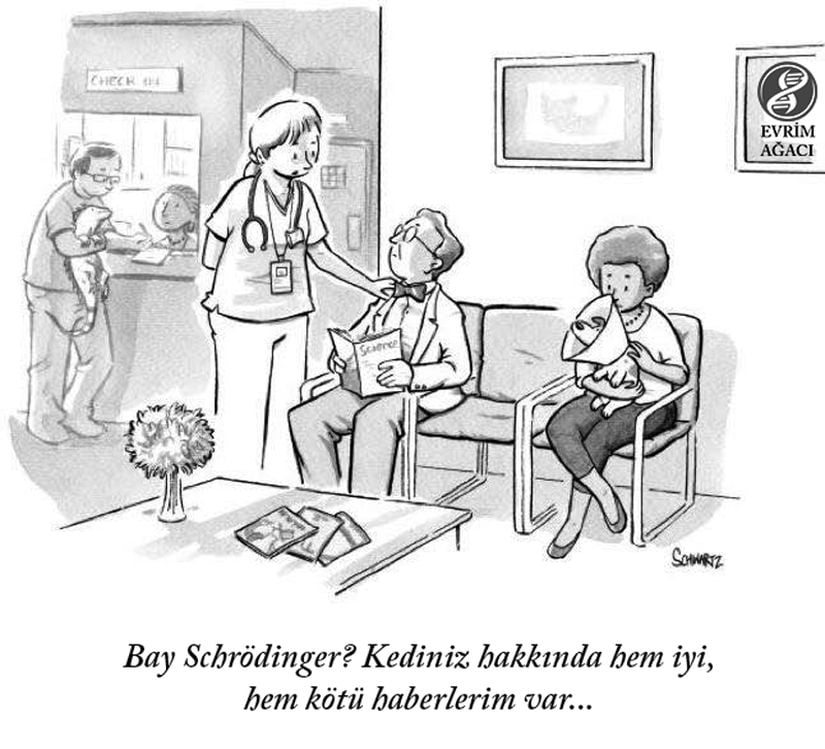 Schrödinger'in kedisi hem yaşıyor, hem ölü olabileceğine göre; doktorun da hem iyi, hem kötü haberlerinin olması çok normal, değil mi? Doktorun sözlerini dinleyene kadar hangisi olduğunu bilmemiz mümkün değil...