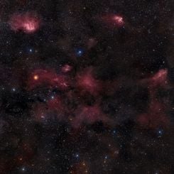 Cepheus: Trunk to Bubble