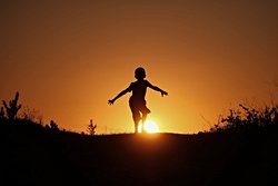 Hayat kalitesi kaç aşamadan ve kategorılerden oluşur?