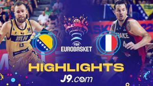 France Seeks Perfect Finish Against Bosnia-Herzegovina