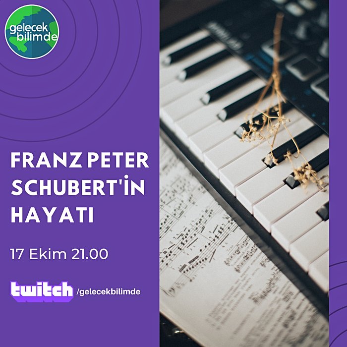 Ünlü Bestekar Franz Peter Schubert Kimdir?