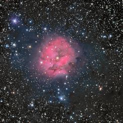 IC 5146: The Cocoon Nebula