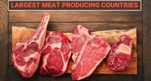 Canadian Meat Industry Launches Office In Beijing