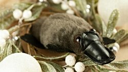 ORNİTORENKLERLER HAKKINDA GERÇEKLER .