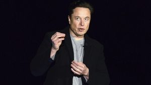 Elon Musk Fuels Controversy With QAnon Video For Trump