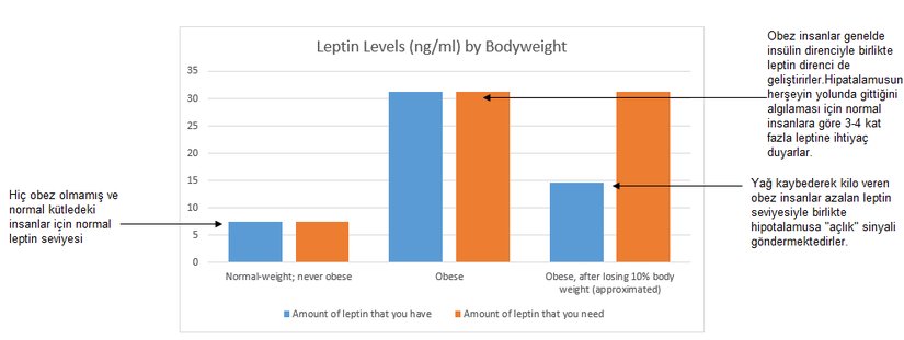Leptin direncinin gelişimi.