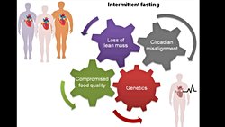 Aralıklı Beslenme ve Aralıklı Oruç: Doğru Anlam, Yanlış Çeviri ve Potansiyel Riskler