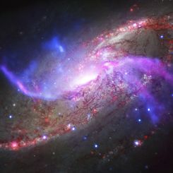  M106 Across the Spectrum 