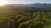 WWF welcomes critical funding for Australian protected areas - WWF-Australia | WWF welcomes critical funding for Australian protected areas | WWF Australia