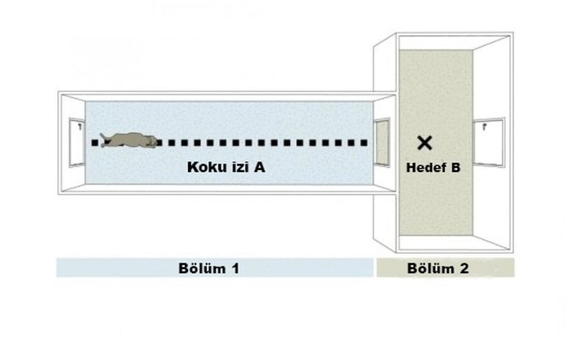 Yukarıda test odalarının bir şeması verilmiştir.