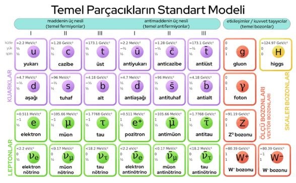 Parçacık Fiziği'nin Temeli Standart Model Nedir?