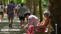 UK weather: Heat health alerts issued with 30C heatwave expected next week
