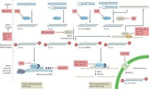 Potyvirus Proteins Vary In Ability To Disrupt Plant RNA Silencing