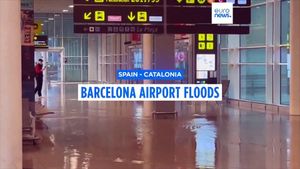 Barcelona Airport Faces Major Disruptions Amid Severe Flooding