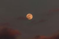 What to expect from January's Supermoon 2026