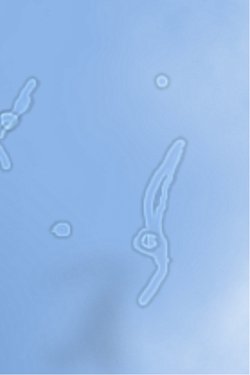 Bazen gökyüzüne bakınca uçuşan cisimler gördünüz mü?