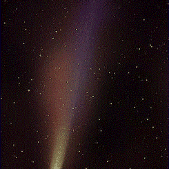 The Tails of Comet Hyakutake