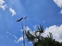 차차 맑음…오후부터 강풍 불며 기온 '뚝' [오늘날씨]