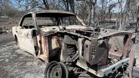 ‘It’s almost enough to make you cry': Crabapple Fire victims share stories, support from neighbors
