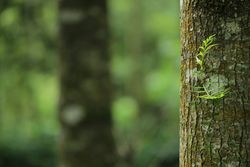 Niçin ebediyete ermek varken, fâni işlerle uğraşıyoruz?