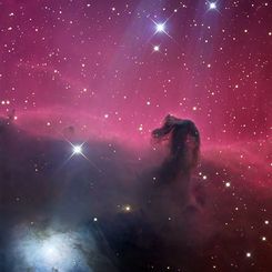 Reflections on the Horsehead Nebula