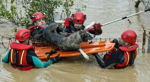 Cyclone Martinho Strikes Spain, Fatalities Confirmed Amid Floods