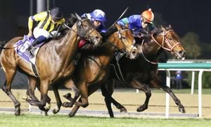 Rising Stars Shine At Tokyo And Kyoto Racecourses