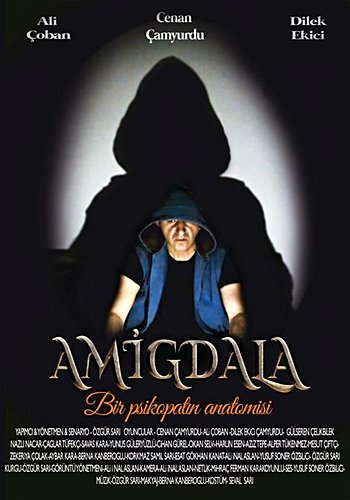 Amigdala