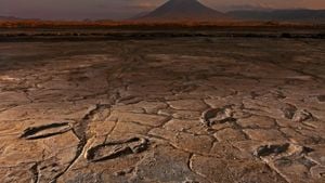 Footprints Reveal Ancient Hominin Coexistence