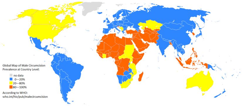 Dünya'da Sünnetli Erkek Oranları