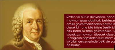 Carl Linnaeus: İnsan ve Kuyruksuz Maymun