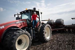 China Turns To Argentina As U.S. Soybean Sales Collapse