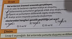Bal arılarının üremesi sırasında olan döllenmemiş yumurtanın gelişerek erkek arıyı oluşturması olayı (partenogenez) genetik çeşitliliğe yol açar mı?