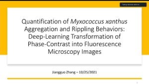 Local Polar Order Initiates Layer Formation In Bacterial Colonies