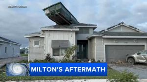 Hurricane Milton Leaves Devastation And Environmental Crisis