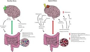 Severe Trauma Disrupts Gut Microbiota, Affecting Recovery