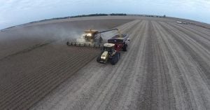 Soybean Farmers Face Crisis As China Boycott Bites