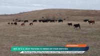 Is the Beef Market Broken? One Cattleman Says Yes